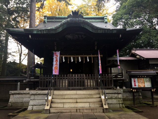 和泉熊野神社拝殿2